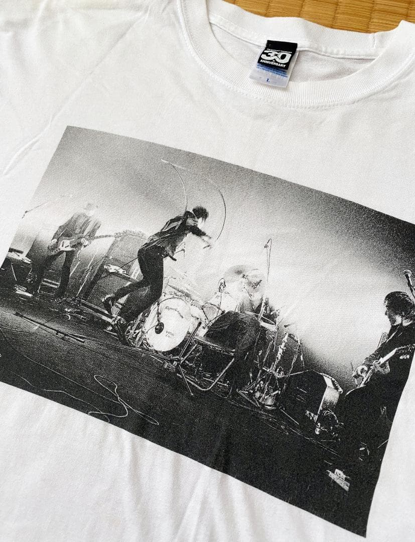 ◉ エレファントカシマシ デビュー30周年 野音Tシャツ（L）※古着