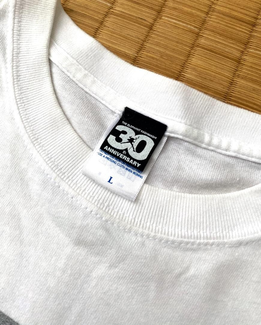 ◉ エレファントカシマシ デビュー30周年 野音Tシャツ（L）※古着