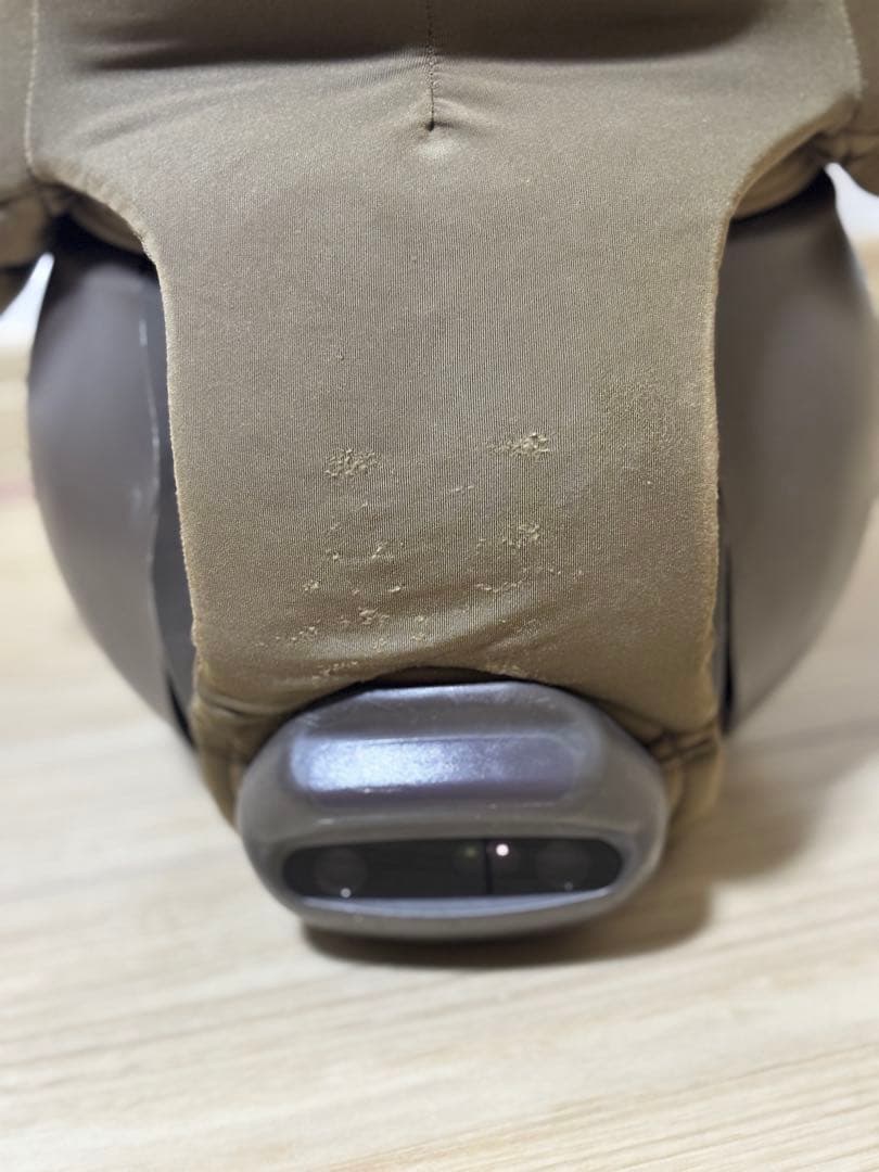 hana様専用】LOVOTラボット2.0本体 ウェア4枚【2023年購入】 - メルカリ