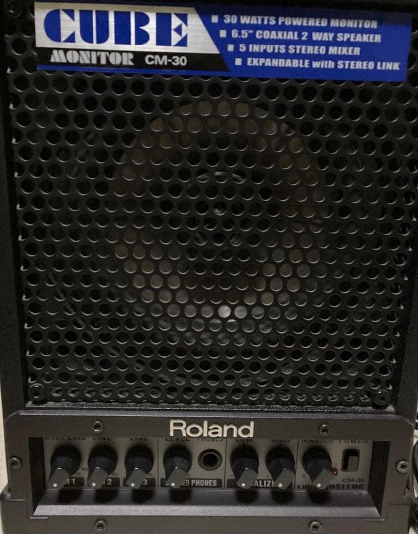 Roland CM-30 CUBE MONITOR モニター スピーカー アンプ
