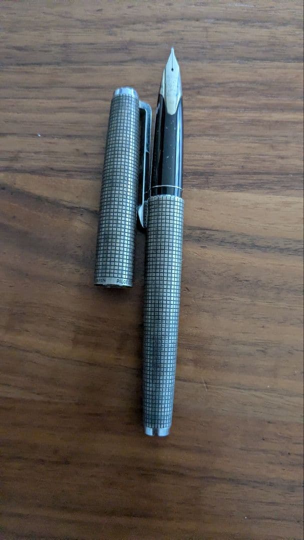 PILOT 18金WG 万年筆 CUSTOM STERLING SILVER