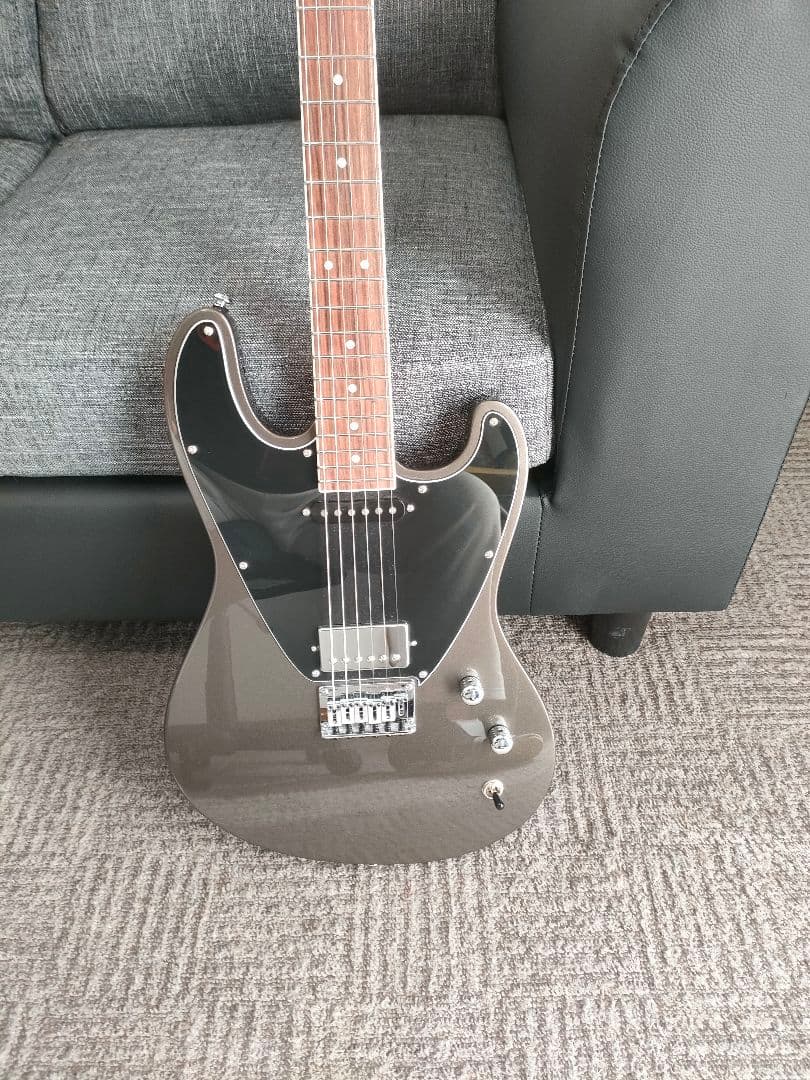 GRECO グレコ BGWT22 MGY Metallic Grey とても綺麗