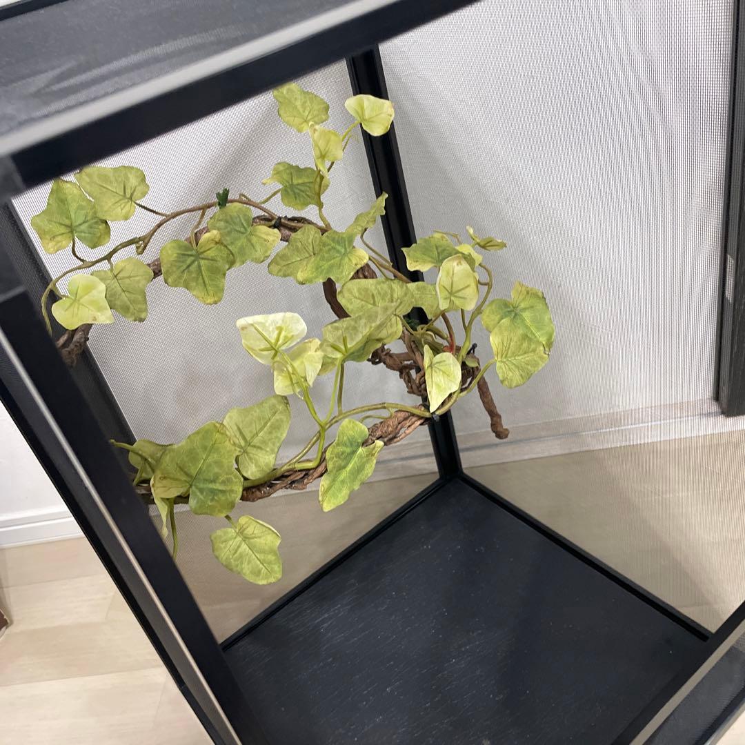 飼育ケージ ケージ 42×42×66 爬虫類 カメレオン メッシュ レイアウト