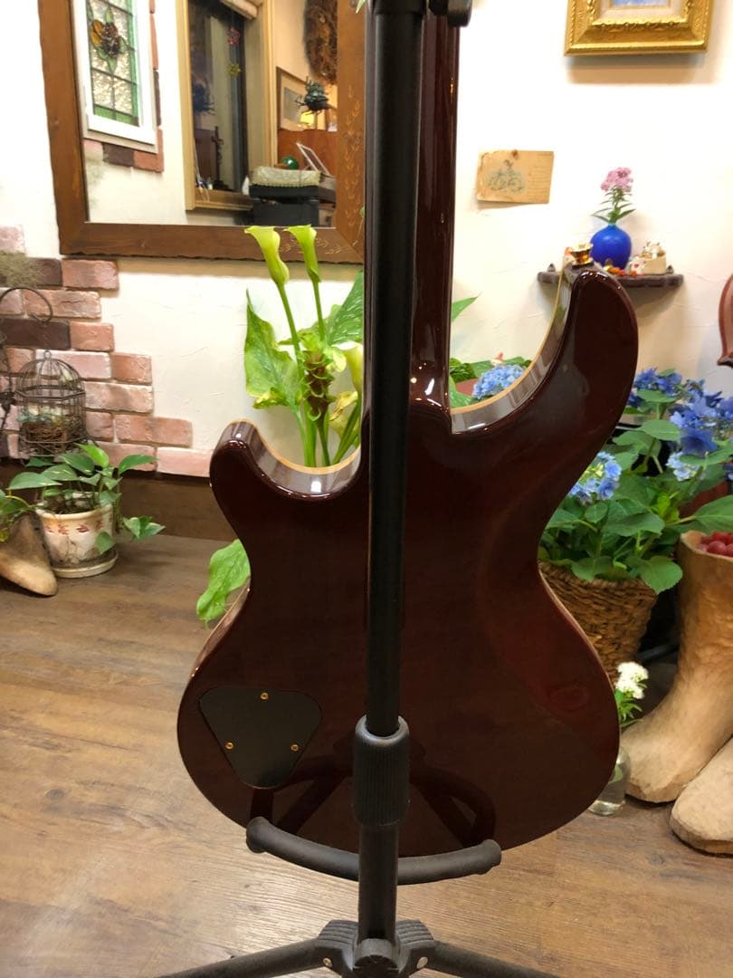 富士弦製DBZ GUITARS Infinity Mondial T'sPU搭載