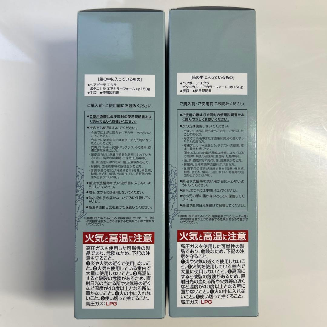 ヘアボーテ エクラ ボタニカルエアカラーフォーム up ナチュラルブラック 2本