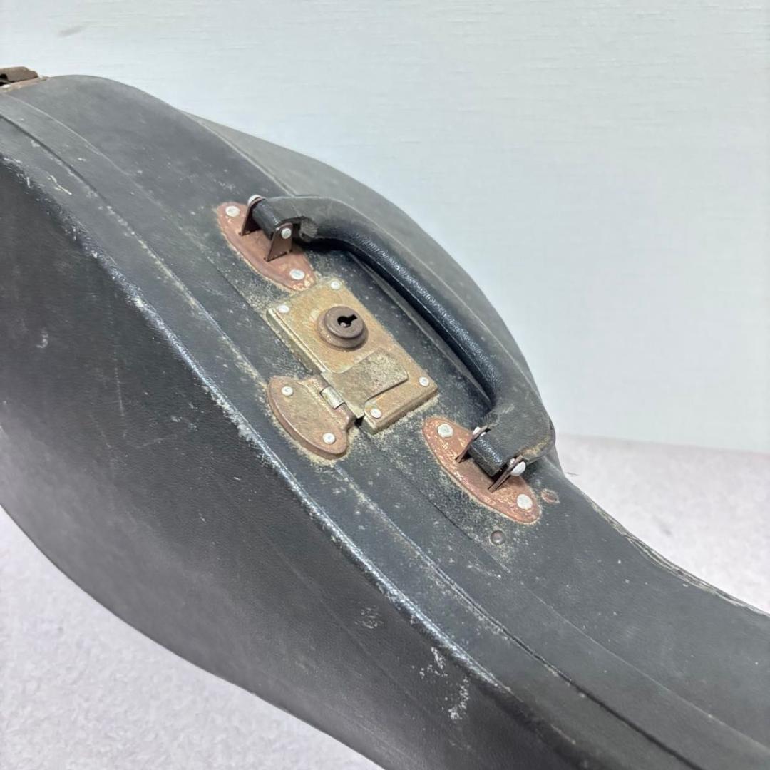 ☆マンドリン カターニア CATANIA イタリア ハードケース