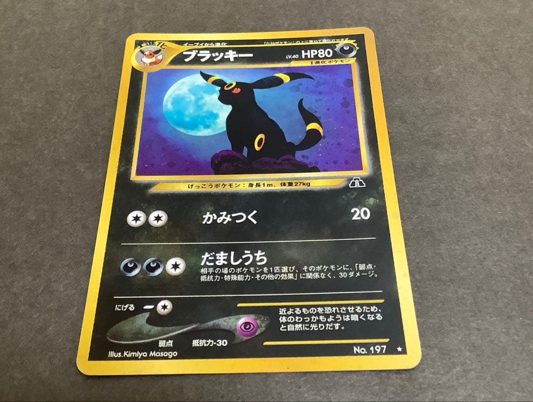 くげ じゅんこ 水彩画 サイン 額縁 付き 58×80 cm