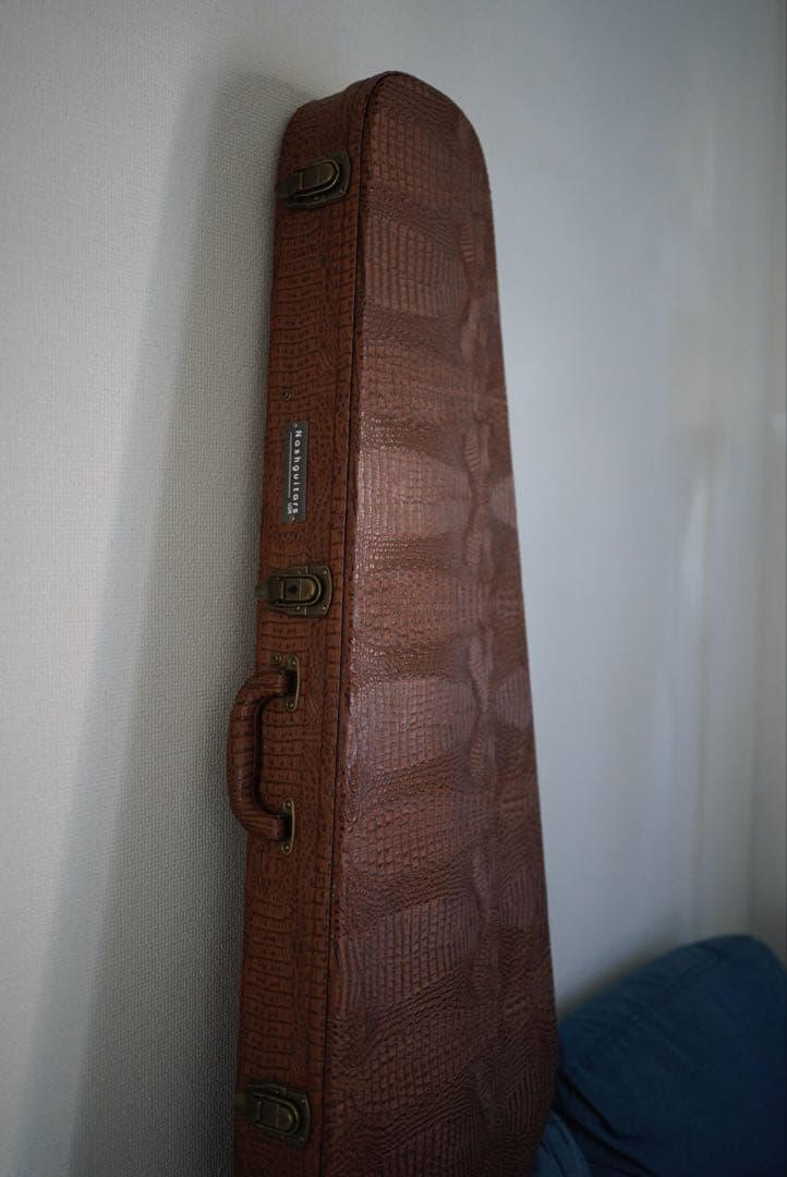 ギター Nash Guitars T72DLX