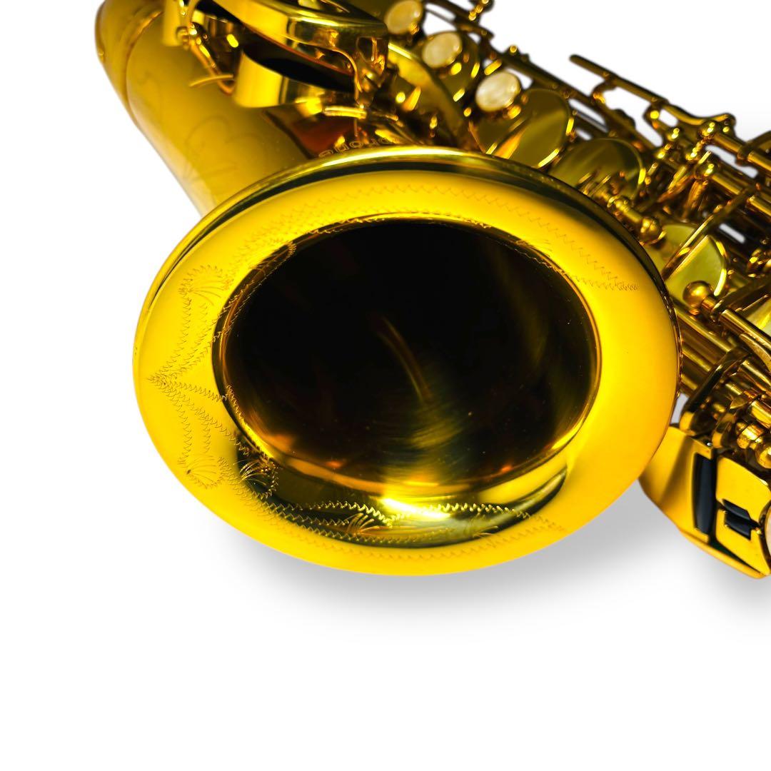 Amazon.co.jp: DeYu A500 入門用アルトサックス (デユー) : 楽器・音響