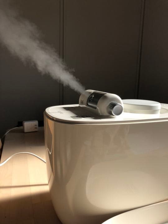 saqina pino steamer & tesla / cleaner サキナ ピノ スチーマー 美顔