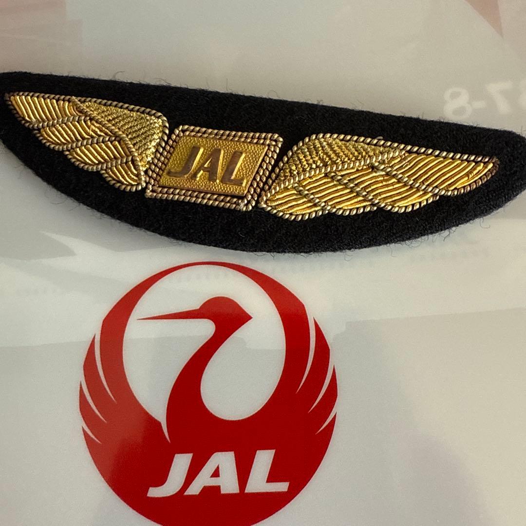 ♦️超美品 企業正規支給品◾️JAL／パイロット ウイングバッジ