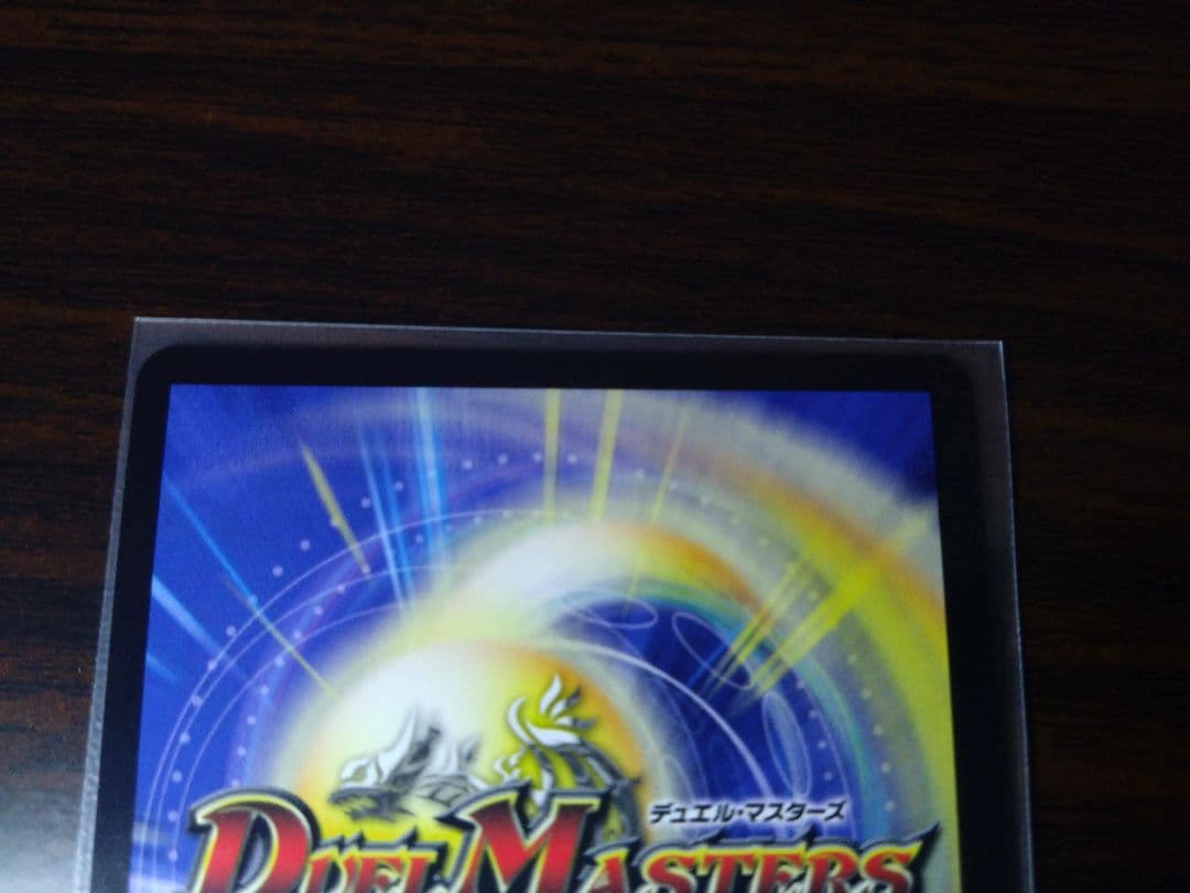 シャコガイル　a 2枚