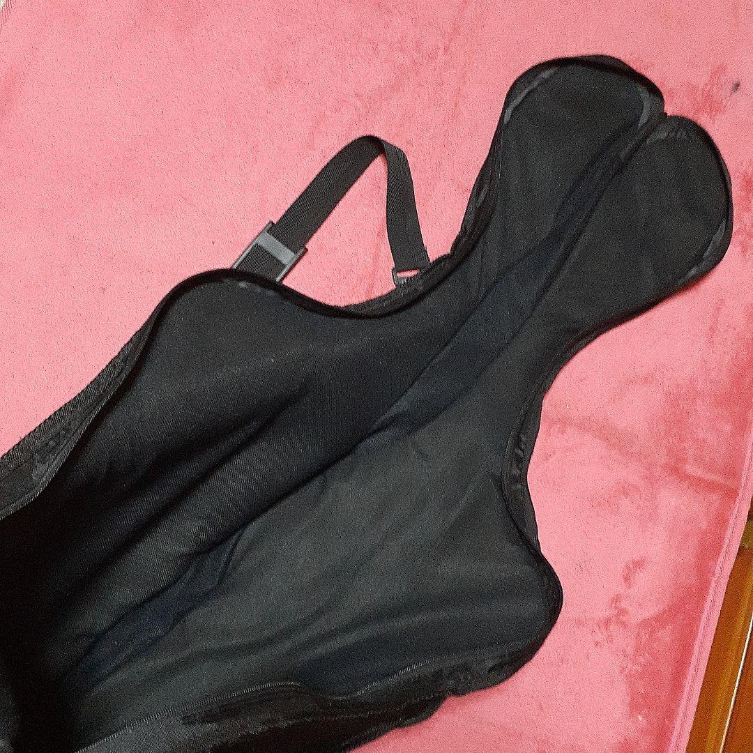 【良・美品】Gラインペイント・布袋モデル。テレキャス。ソフトケース付属。