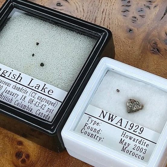 入手不可！小惑星のかけら K-T境界層（K/Pg境界）標本