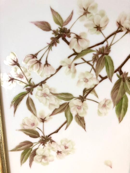 陶板 山桜 ボタニカルアーティスト ― 石川美枝子