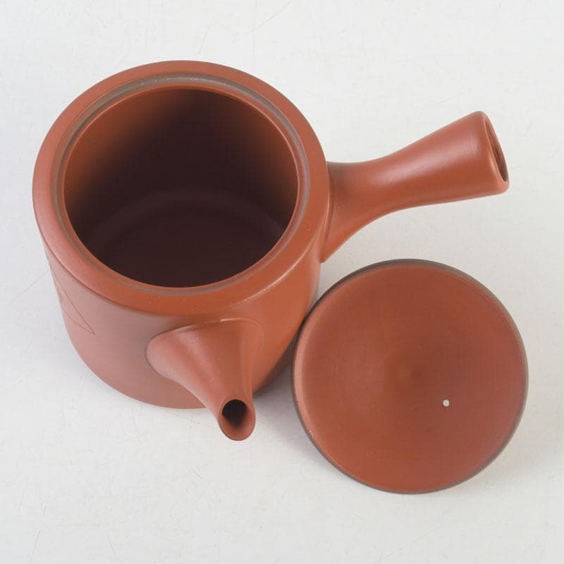 煎茶道具 常滑焼 朱泥 漢詩竹刻 横手急須 V 9580