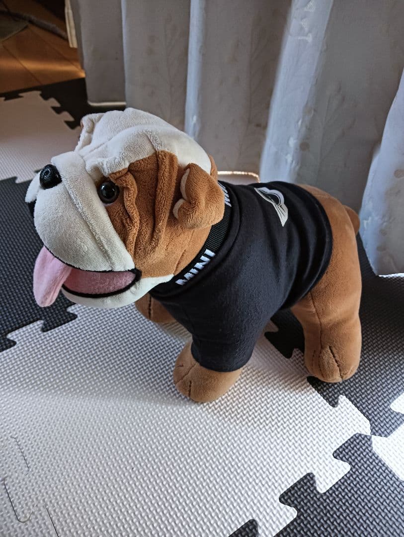 ミニクーパー スパイクくん