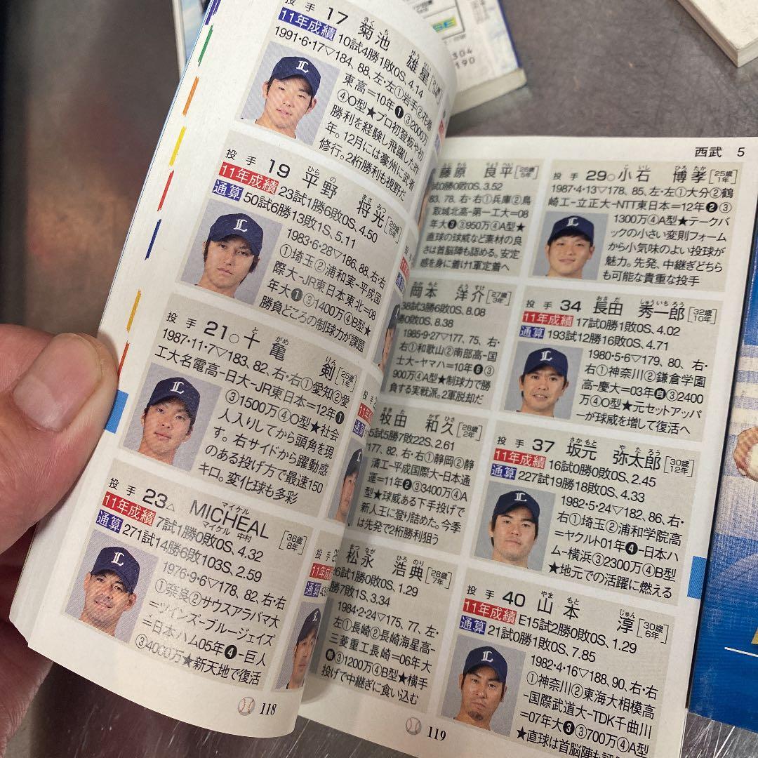 2010〜2013年までのプロ野球選手ガイドブック 人気