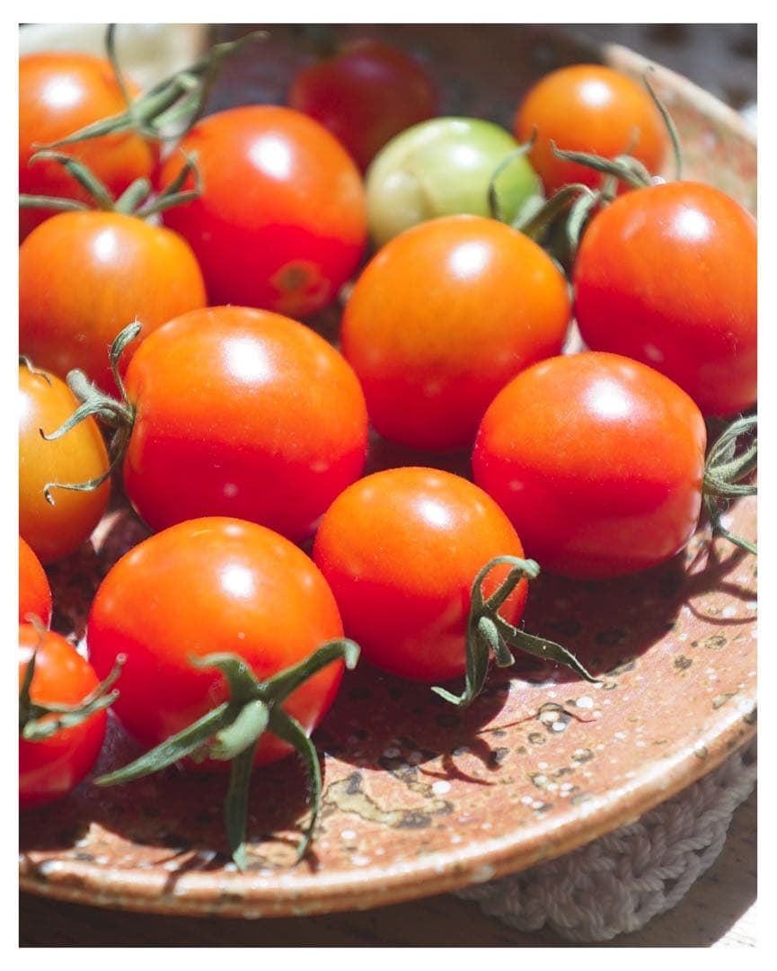 ショット数4543枚！】SONY α7S 初代 - メルカリ