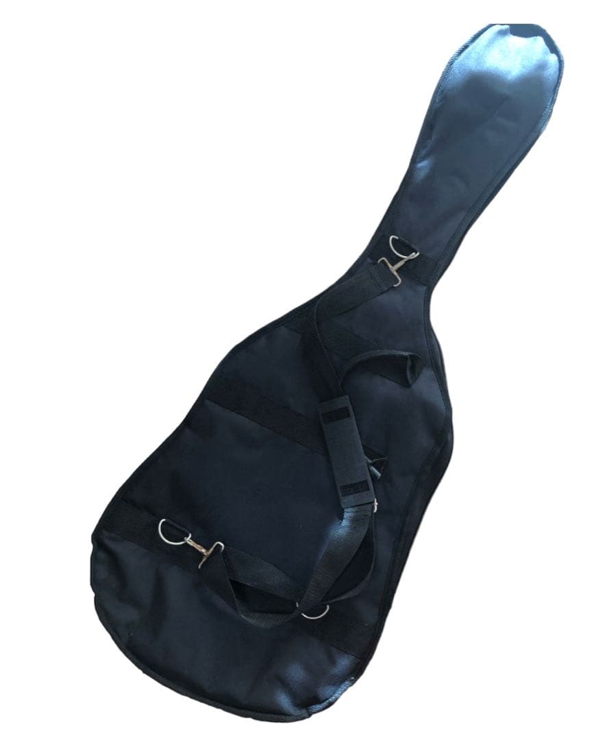 エレキギター&ソフトケース+α Epiphone