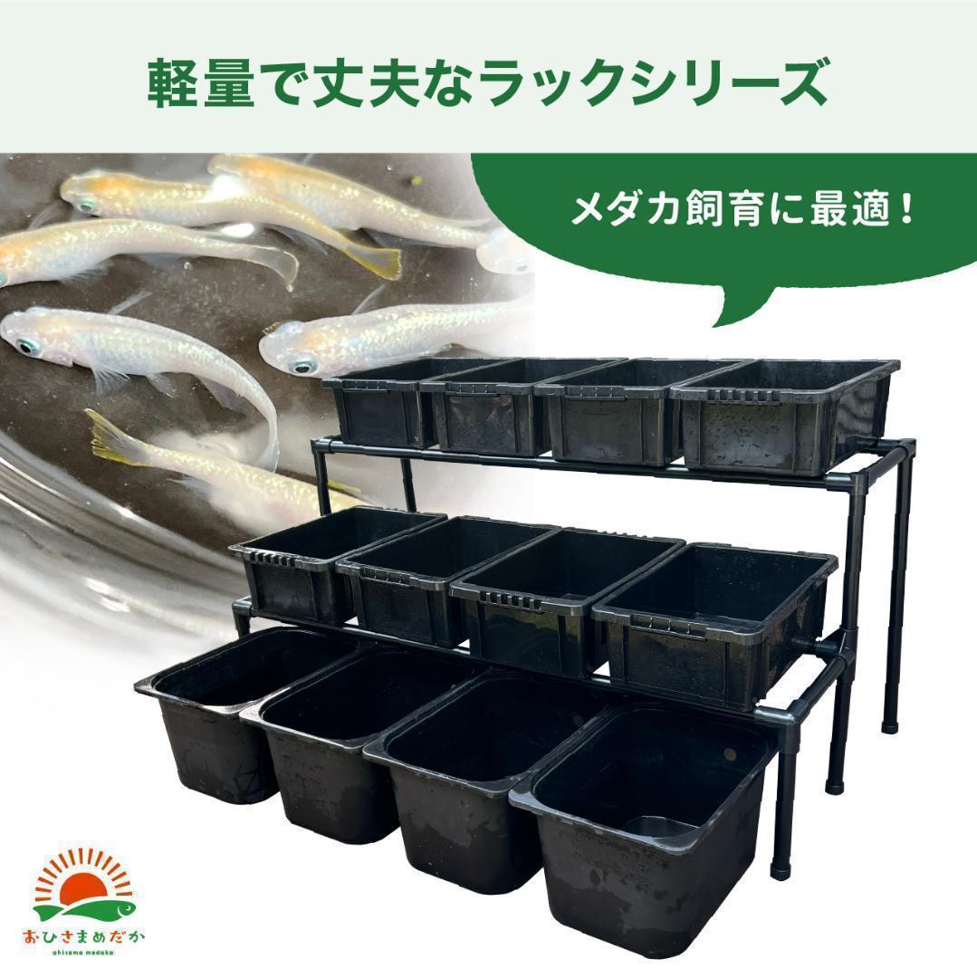 ★メダカ飼育ラック黒2段12個置き★ めだか飼育棚NVBOXビオトープdag