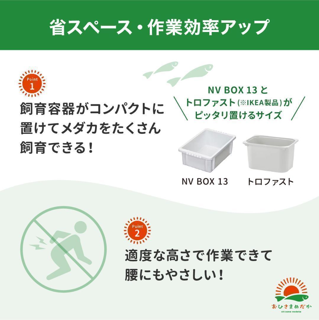 ★メダカ飼育ラック黒2段12個置き★ めだか飼育棚NVBOXビオトープdag