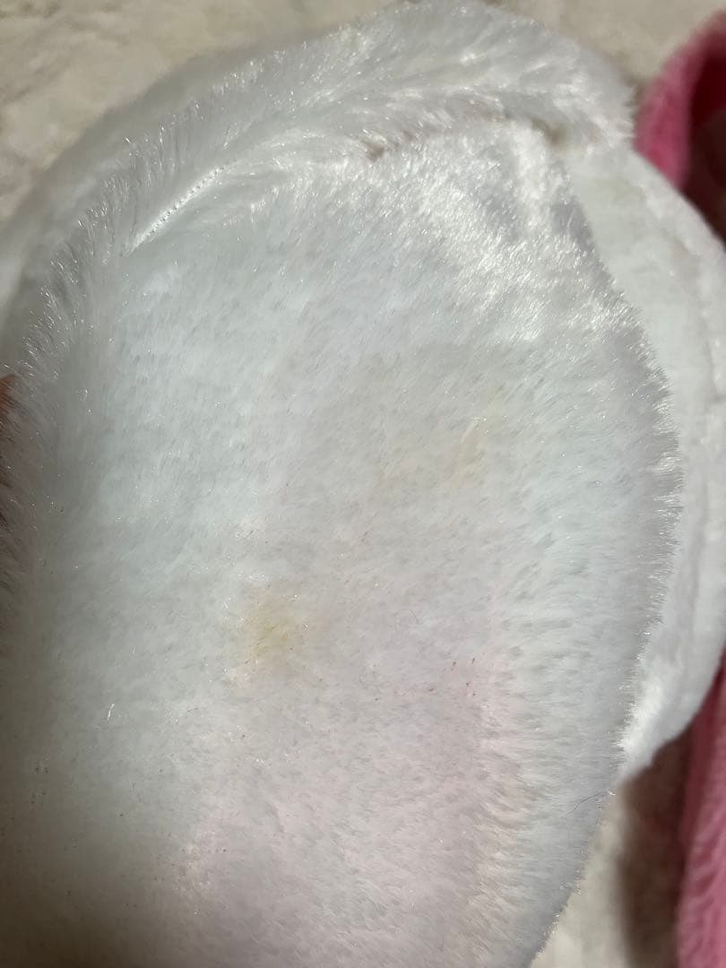 【2体セット】XL汎用うさぎぬいぐるみ ver.2.0