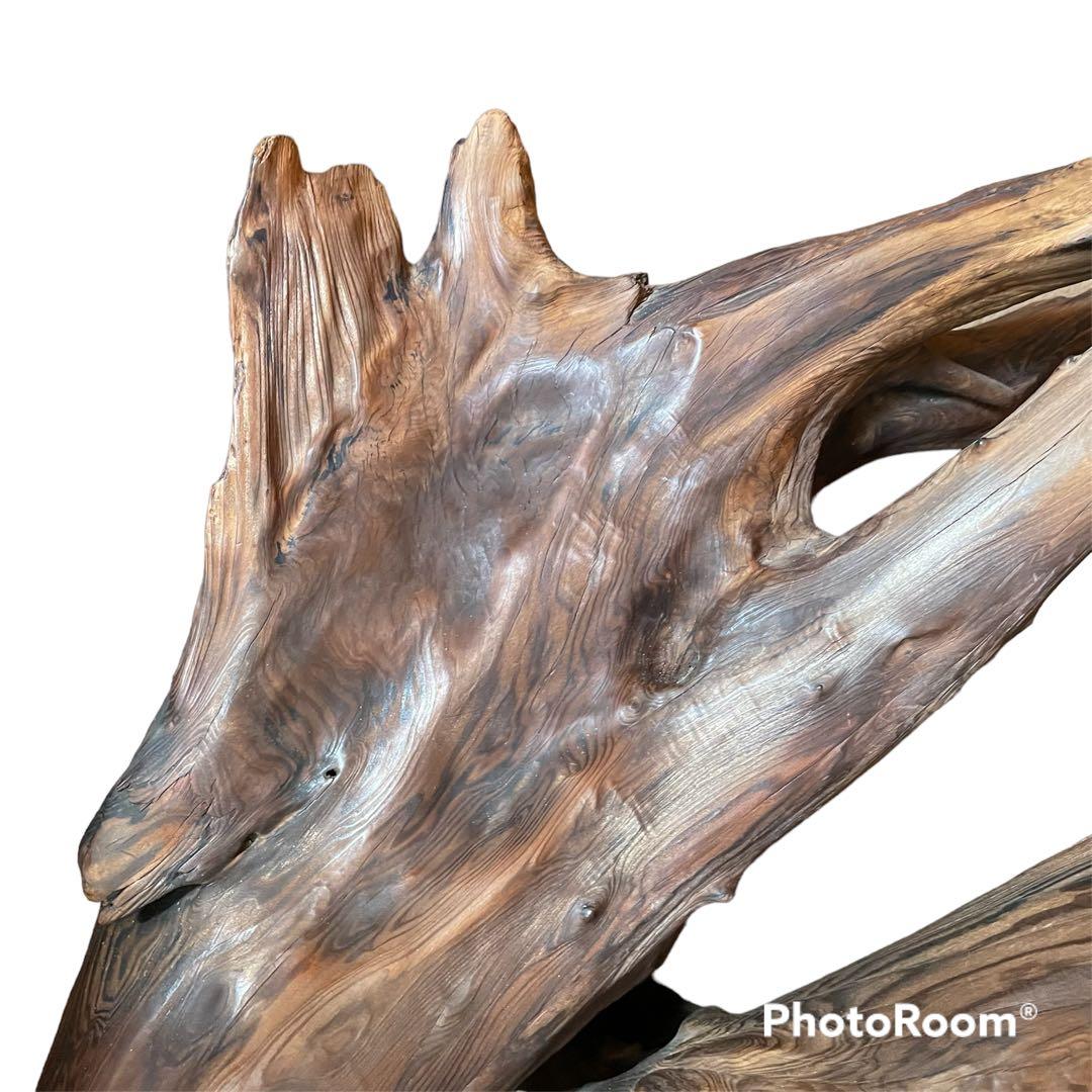 天然 流木 希少 アート 人気急上昇 一点物 レア 希少 流木 貴重 水槽