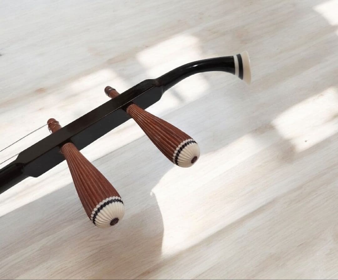 二胡　伝統楽器