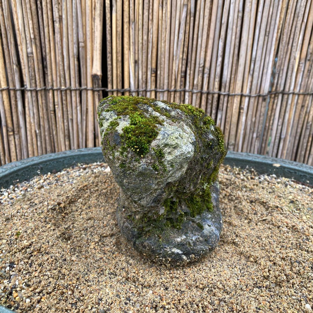 京都貴船糸掛石【A】