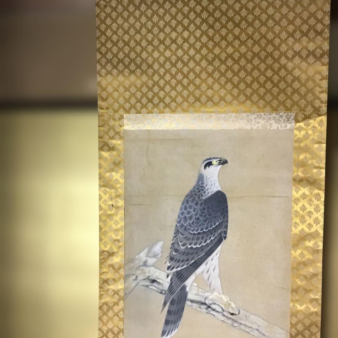 古画　松上の鷹図　書き込みが素晴らしい。　　　　G1