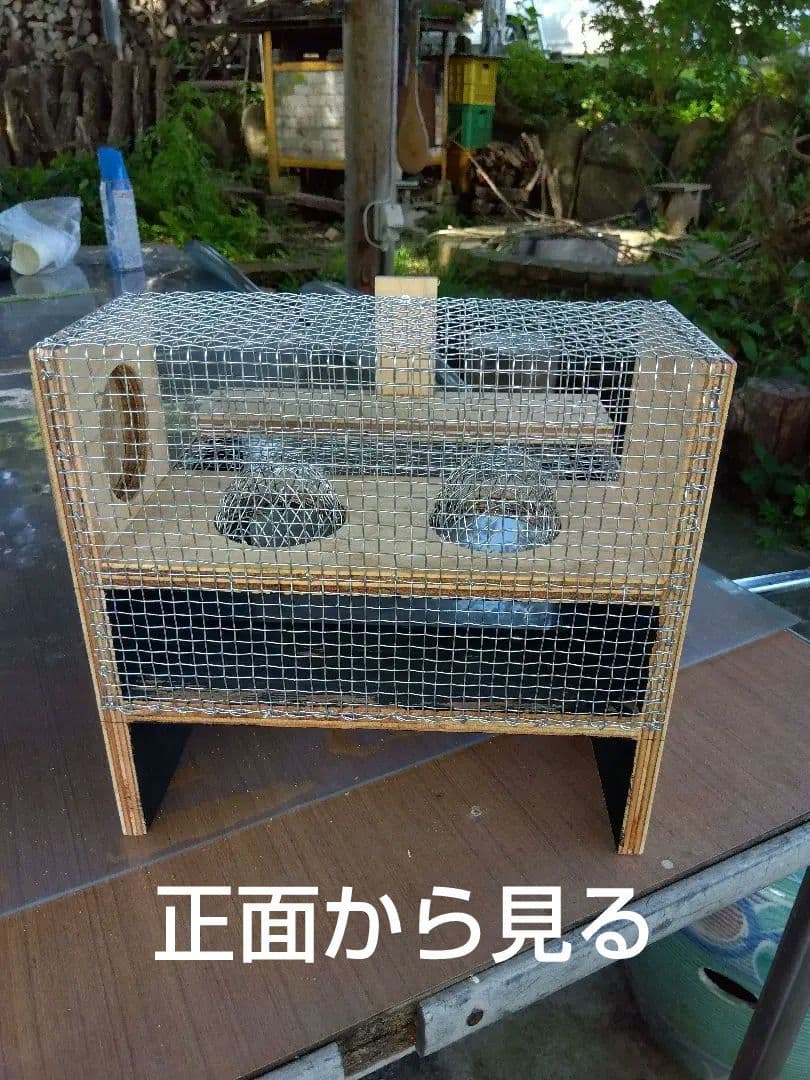 スズメバチ捕獲器 3個売り スズメバチキャッチ スズメバチ捕獲器 3個