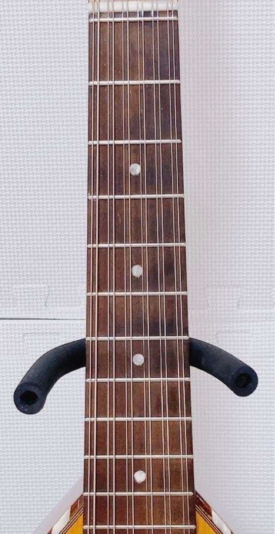 【超希少 メンテ済】L.PATENOTTE Lutheir マンドセロ 12弦