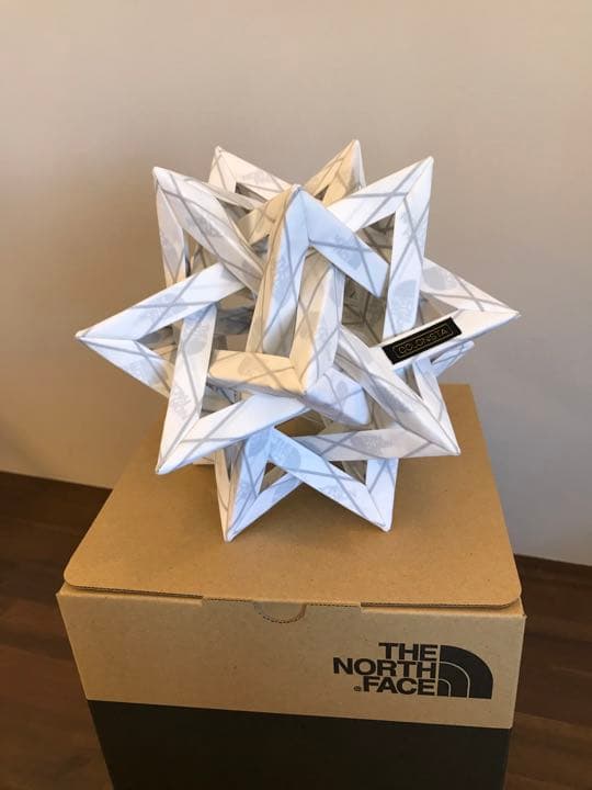 PRODUCE 101 JAPAN THE 斉藤芹菜 コンププリントサイン入り 日プ女子