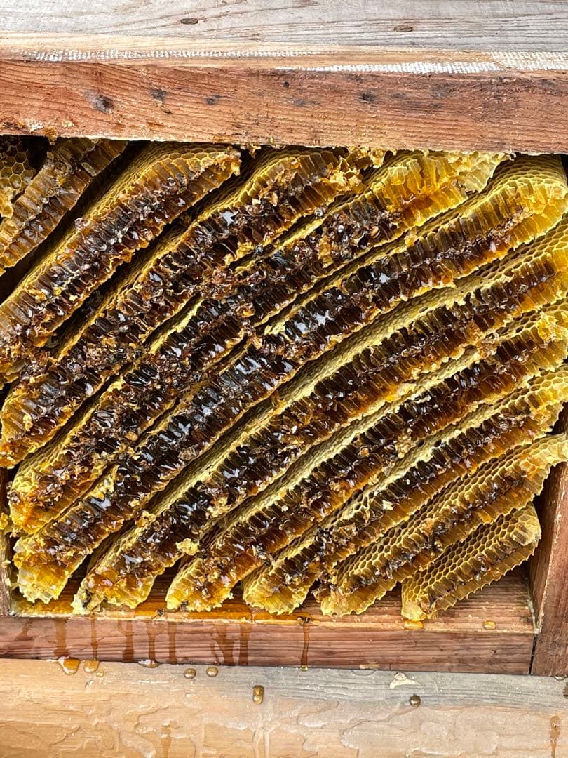 日本蜜蜂重箱式巣箱ハニーズハウス！五段スノコセット！網底板2枚！送料無料！