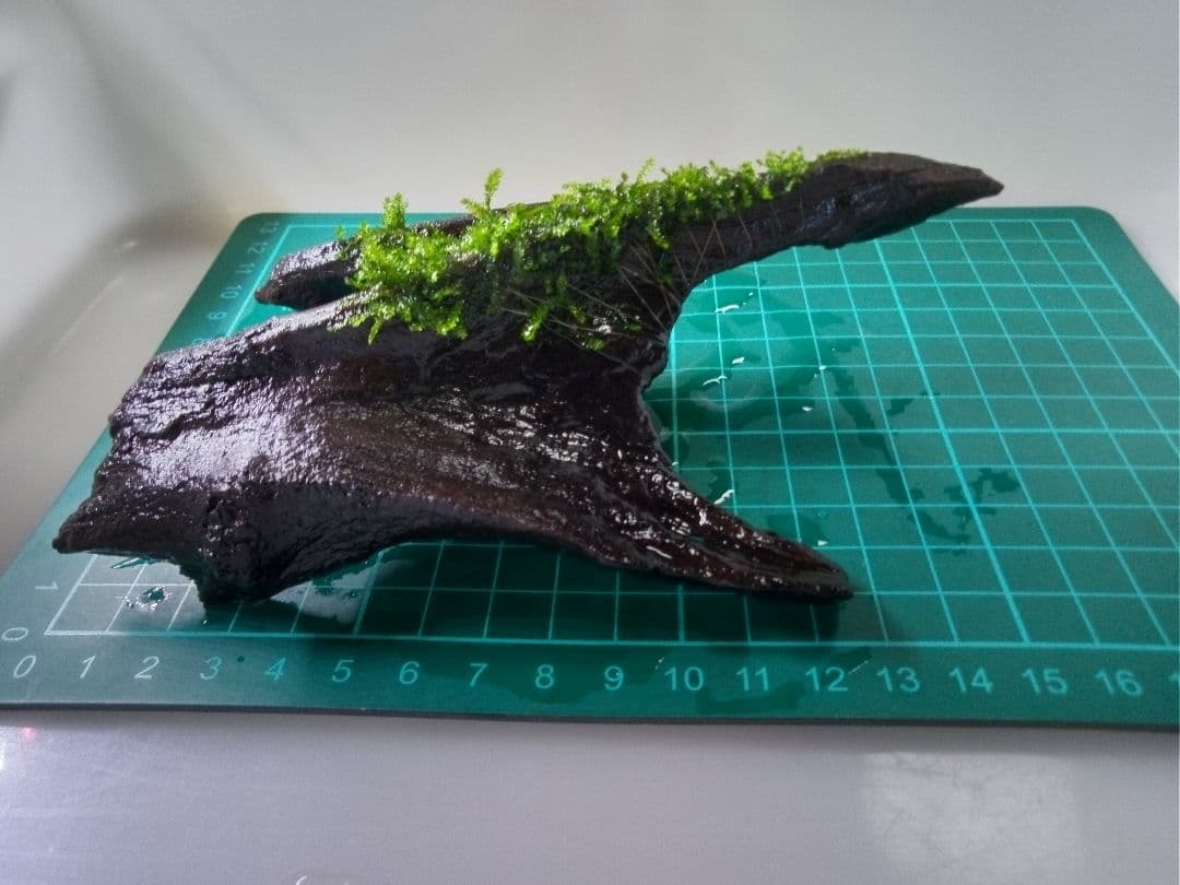 MSRW-6822 スリムウッドレイアウトセット 60cm水槽用 アクアリウム