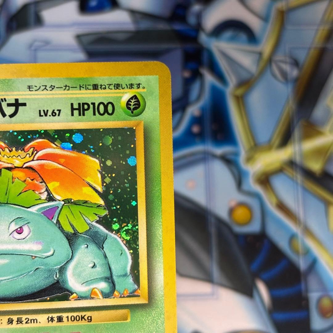 【極美品】旧裏 フシギバナ ★ 第1弾拡張パック