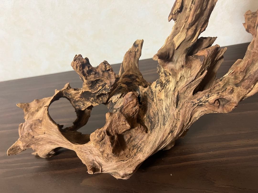 HX-003 流木 ホーンウッド マシンガンウッド アクアリウム ブランチ