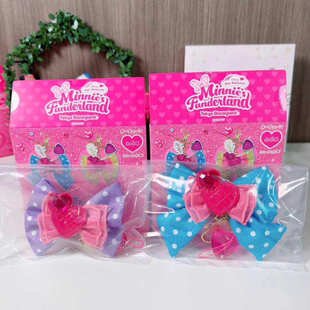 ミニーパルパルーザ　キーチェーンBOX