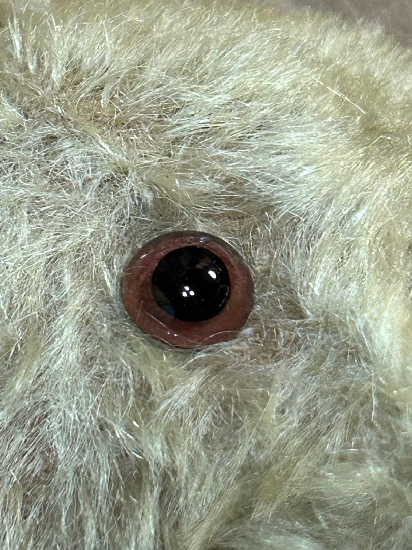 テディベア　アンティークベア　33cm ヴィンテージ