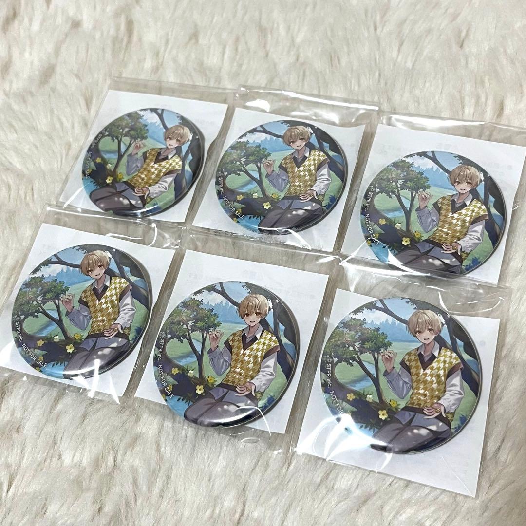 るぅとくん アルバム 君と僕の約束 アニメイト特典 缶バッジ(6個