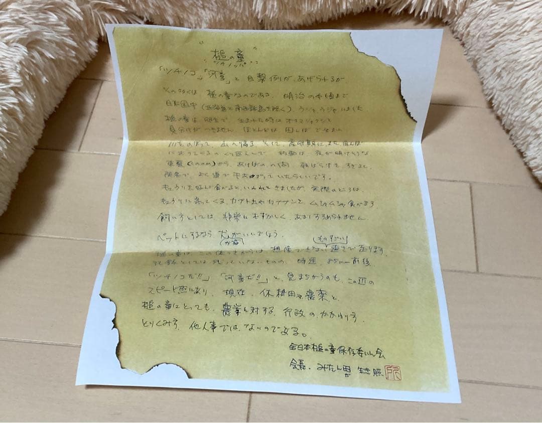 所ジョージ　世田谷ベース　ツチノッパ　箱　説明書付き