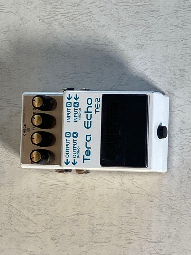 あの・寺内節の必需品テラ・エコーたまらない残響音をお楽しみに