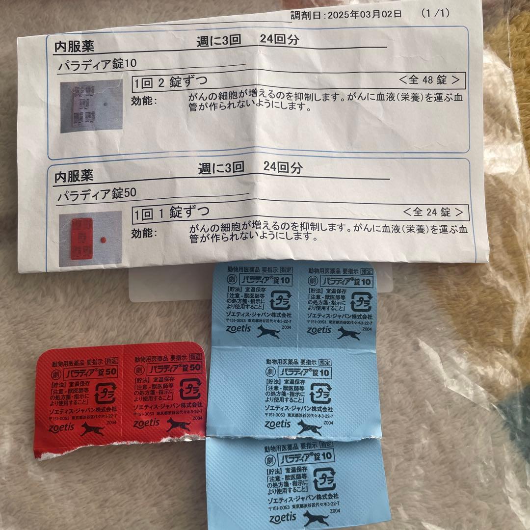 パラディア錠 未使用 20錠 パラディア錠 15mg通販｜抗がん剤｜