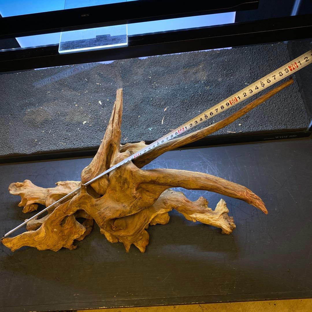 MRW-6371 特大流木 1点物自立 90cm水槽用 アクアリウム 爬虫類