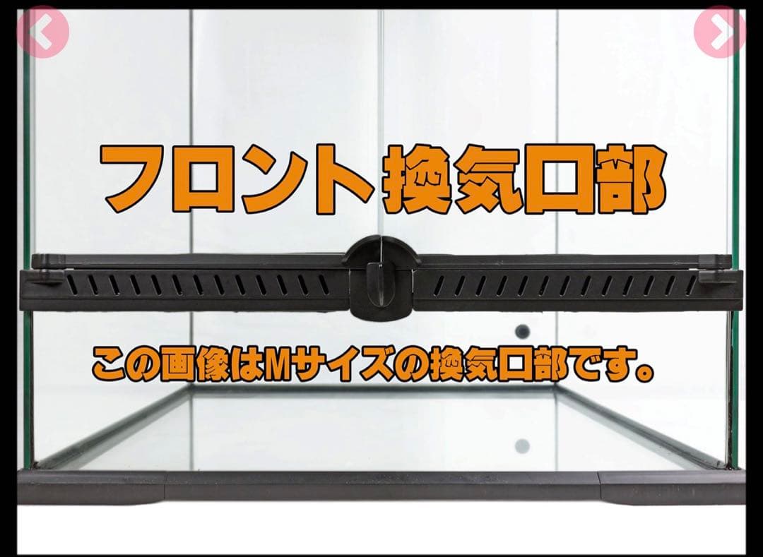 タロー様専用出品 新品未使用！未開封！レインフォレストタンク L