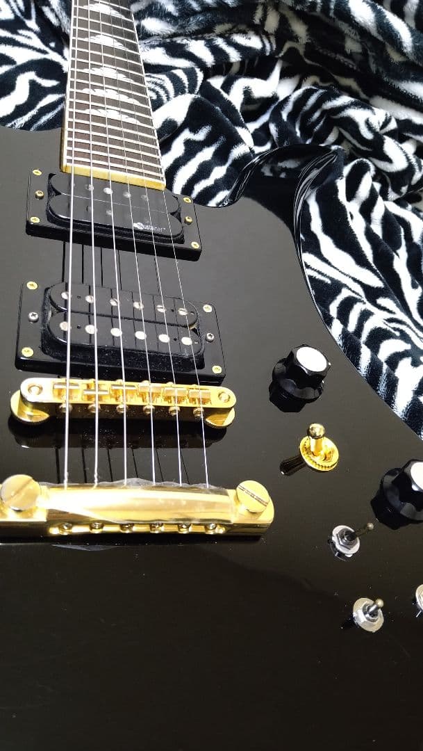 FERNANDES サスティナー基盤ユニット ピックアップセット FERNANDES