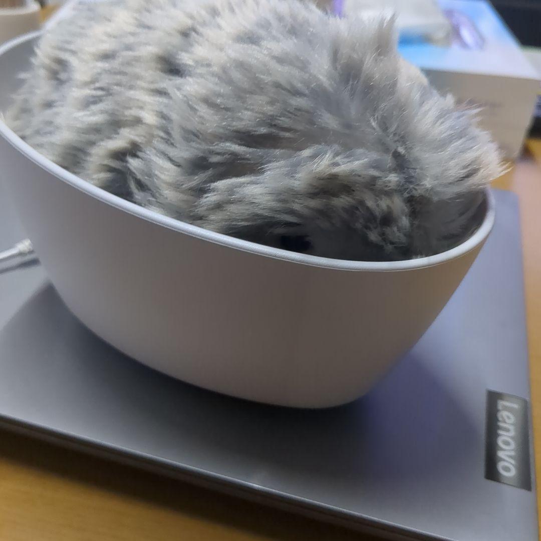 モフリン138日間ペットでした