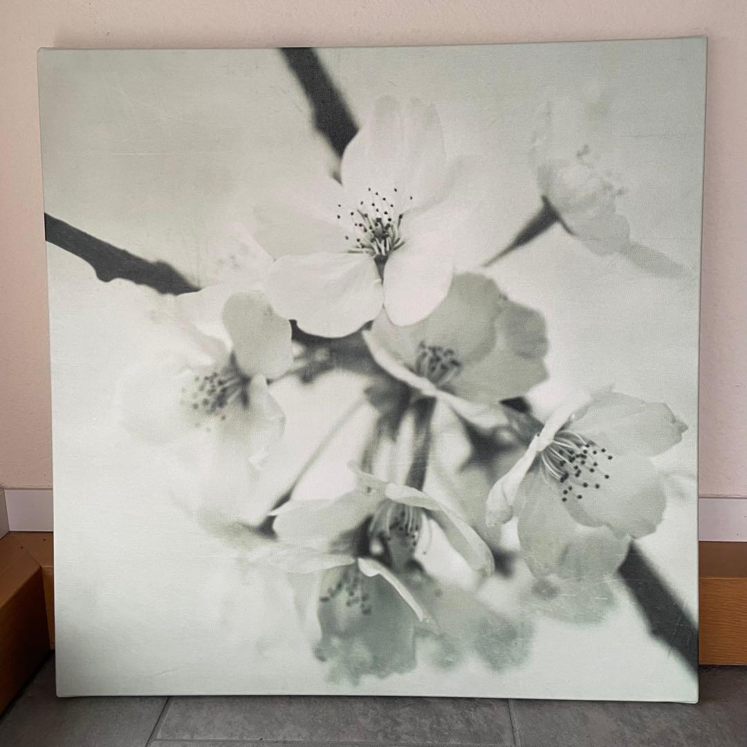 アートパネル 3枚セット　桜　IKEA