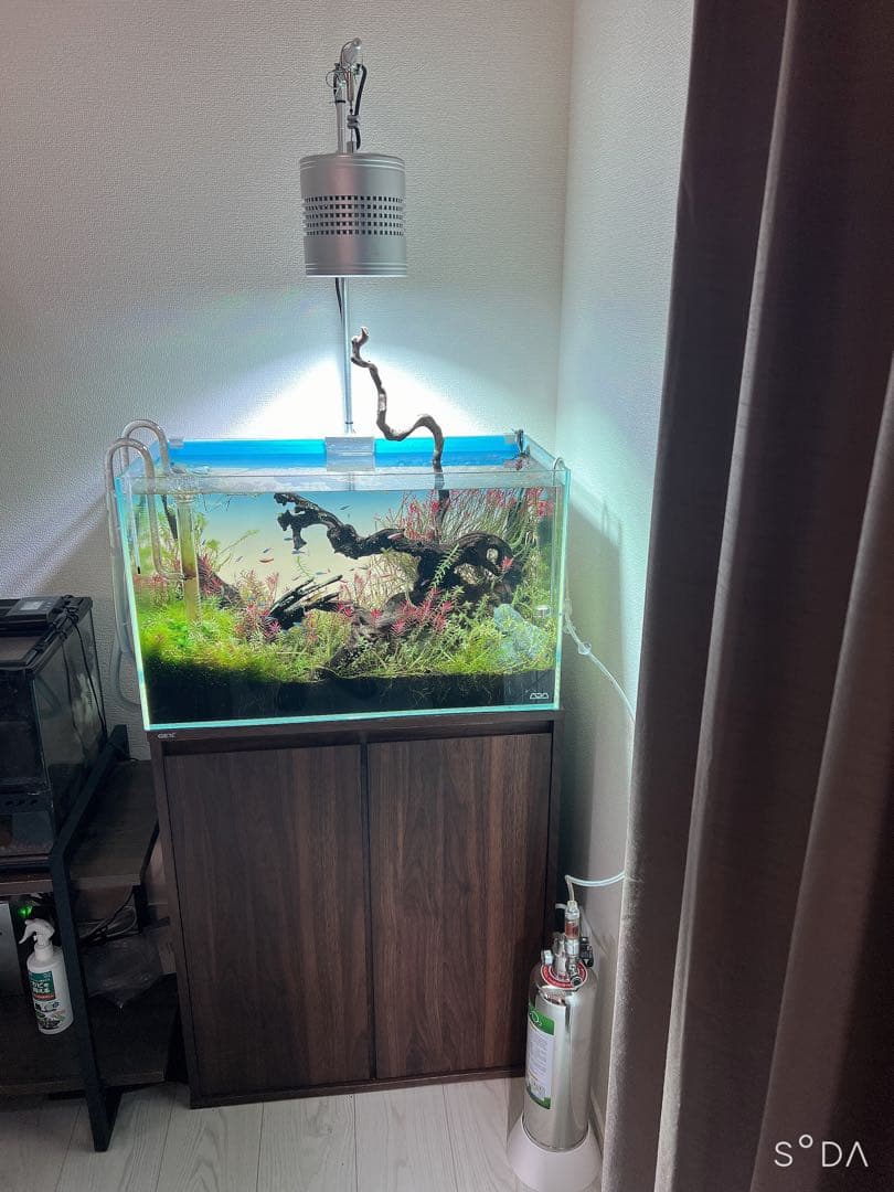 ADA 60cm水槽 外部濾過器付き
